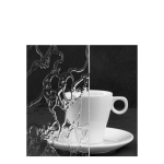 TZO Window Glazing Delta