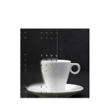 TZO Window Glazing Masterlens